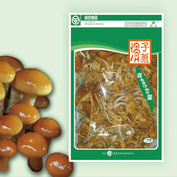 滑子蘑