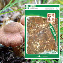 野生榛蘑