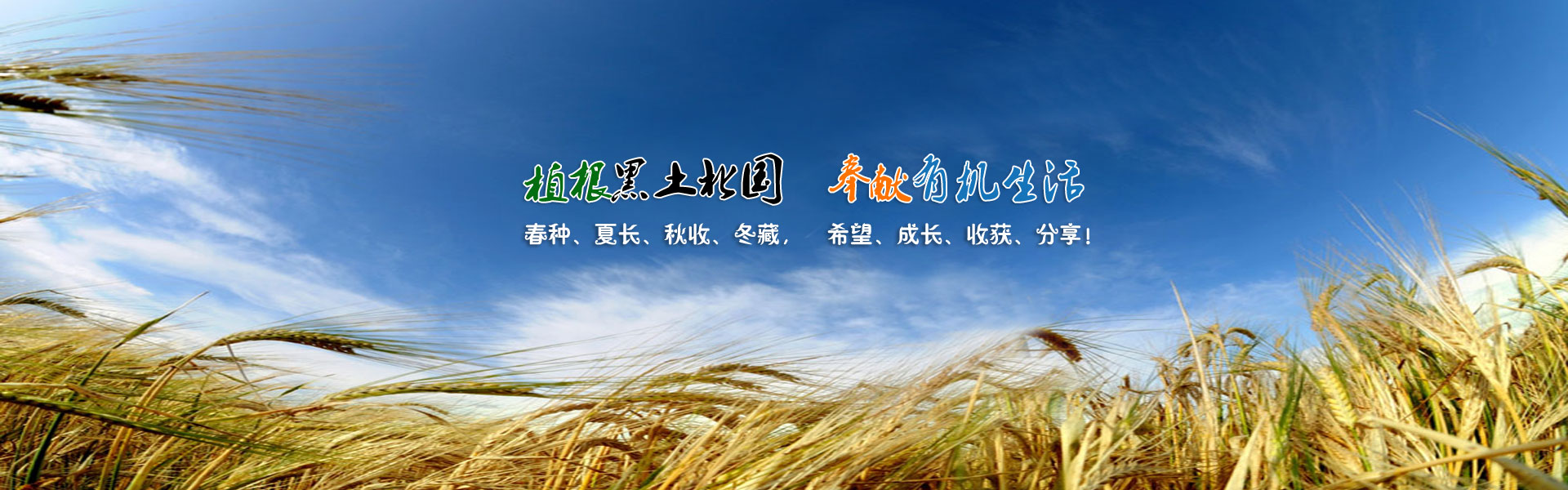 幻灯2